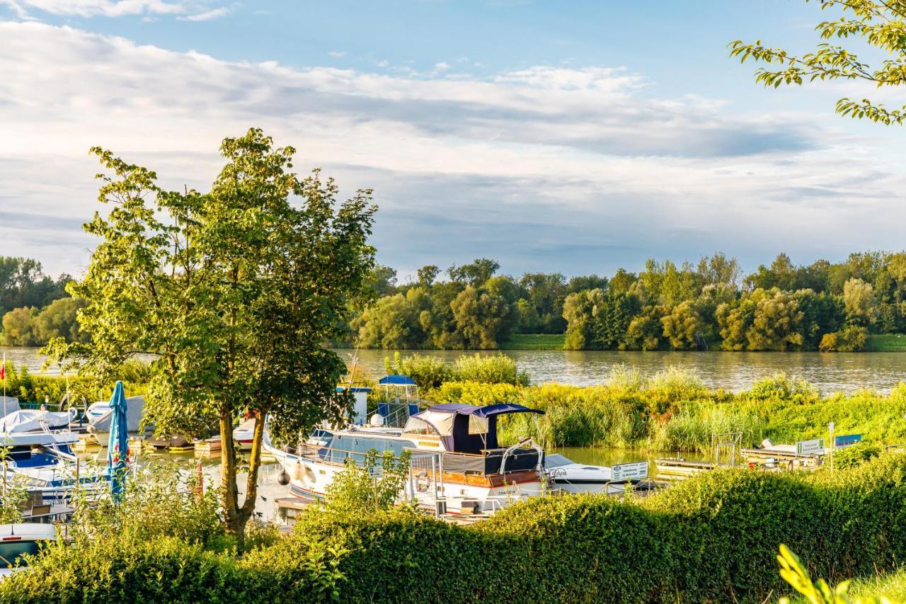 Camping & Pension Au An Der Donau ภายนอก รูปภาพ