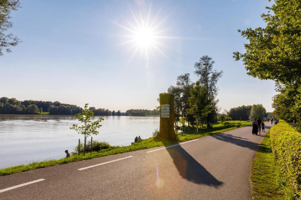Camping & Pension Au An Der Donau ภายนอก รูปภาพ