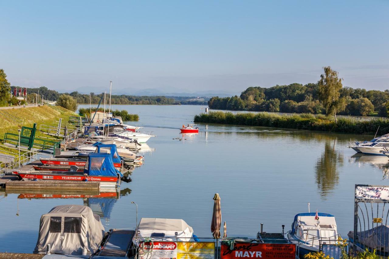 Camping & Pension Au An Der Donau ภายนอก รูปภาพ