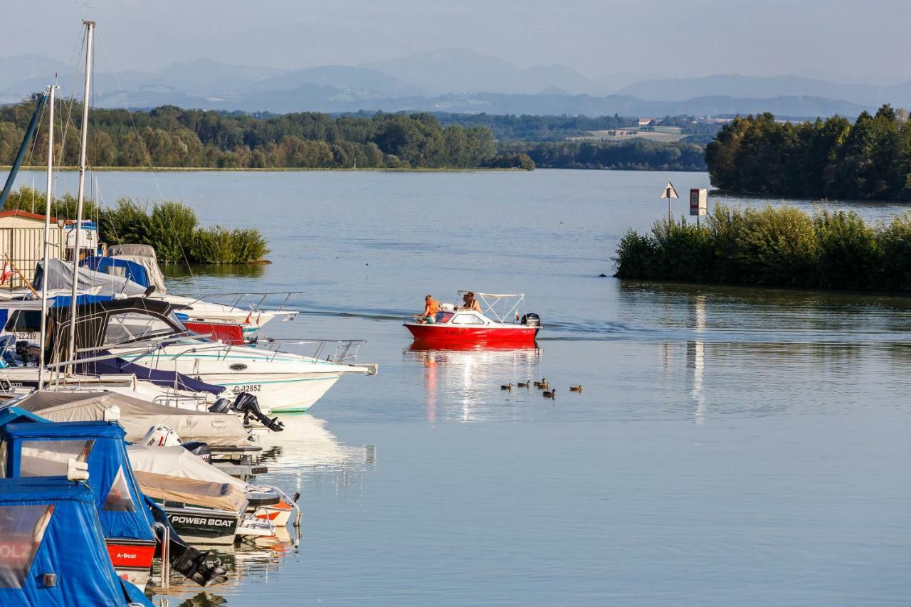 Camping & Pension Au An Der Donau ภายนอก รูปภาพ