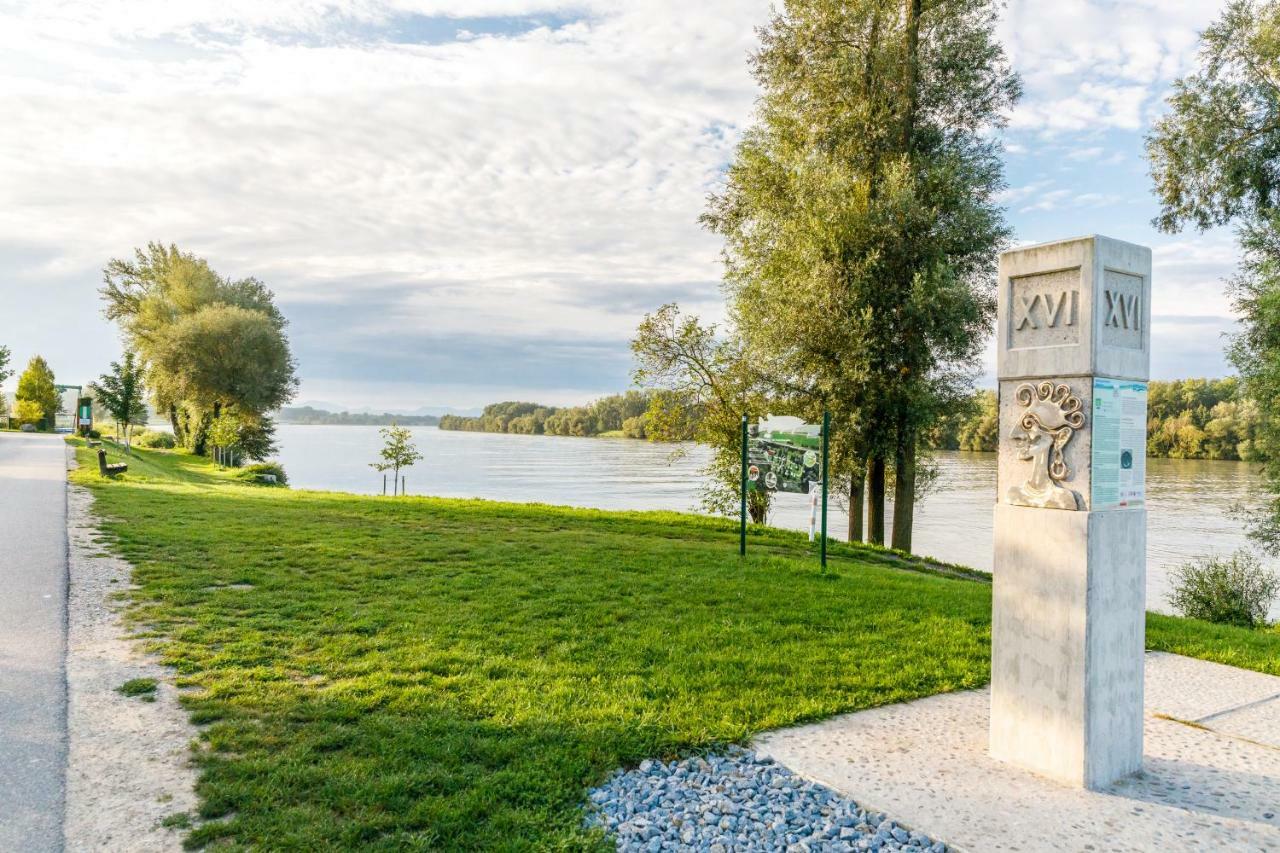 Camping & Pension Au An Der Donau ภายนอก รูปภาพ